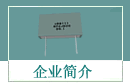 企業(yè)簡(jiǎn)介